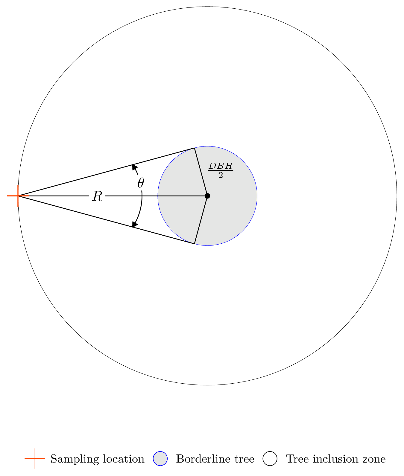 Horizontal point sampling example of a borderline tree.