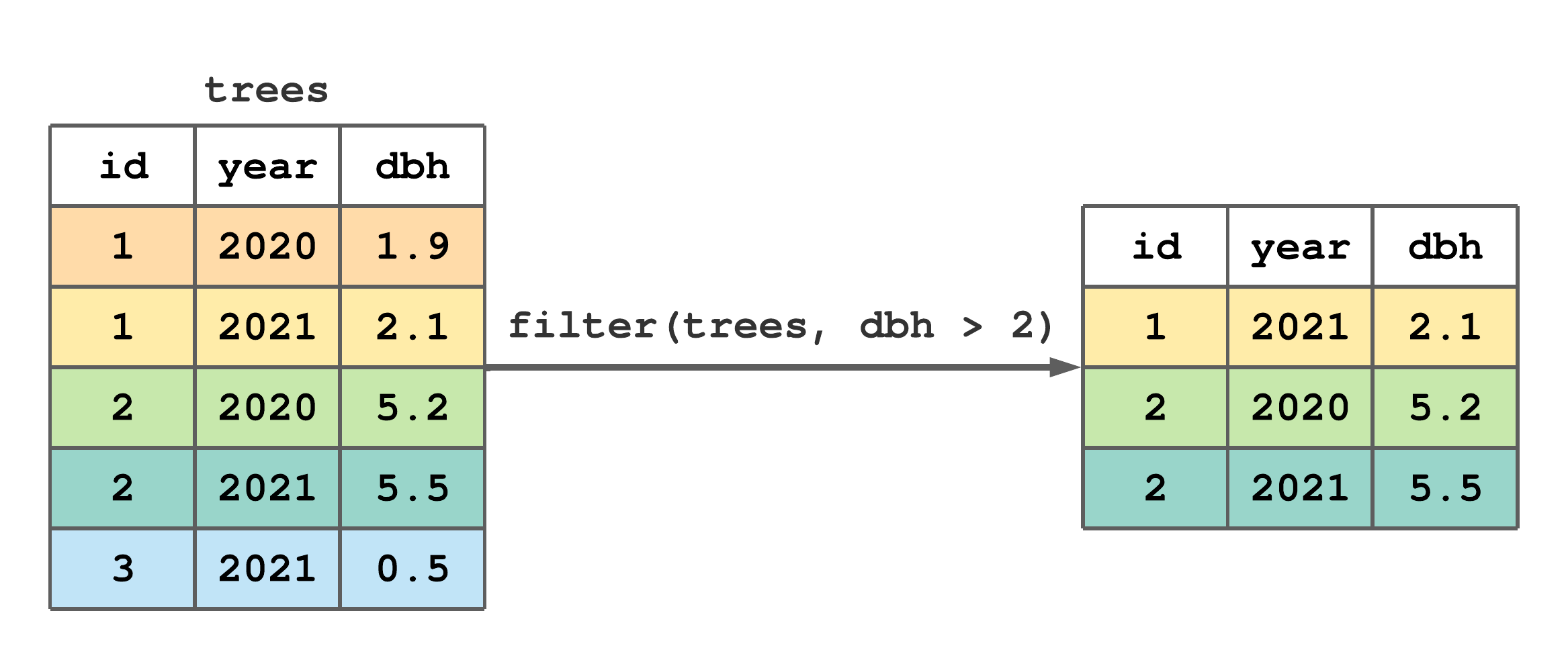 Using filter() to subset rows from trees with dbh greater than 2.