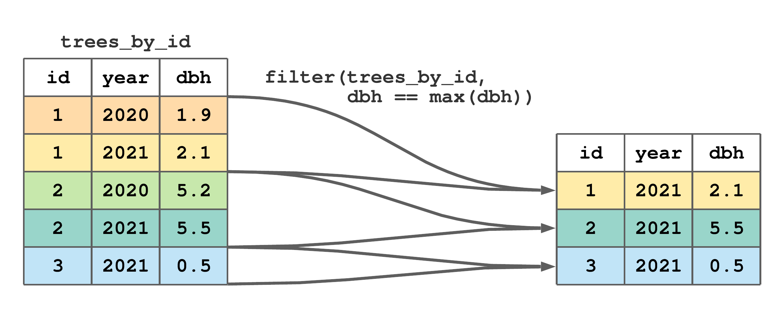 Using grouped filter() to subset rows with the maximum dbh by tree id from trees.