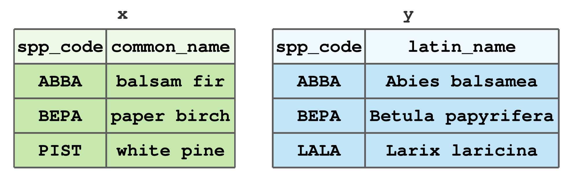 Stylized tibbles to illustrate dplyr join functions.