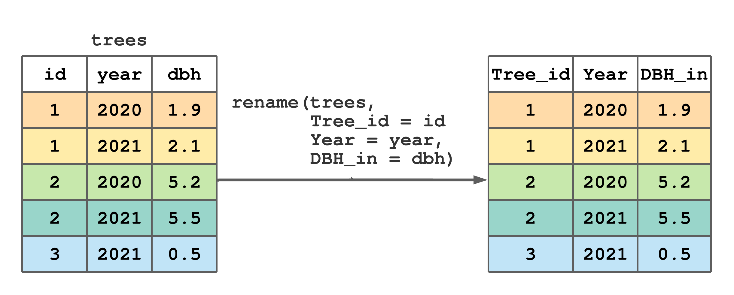 Using rename() to rename some column names in trees.