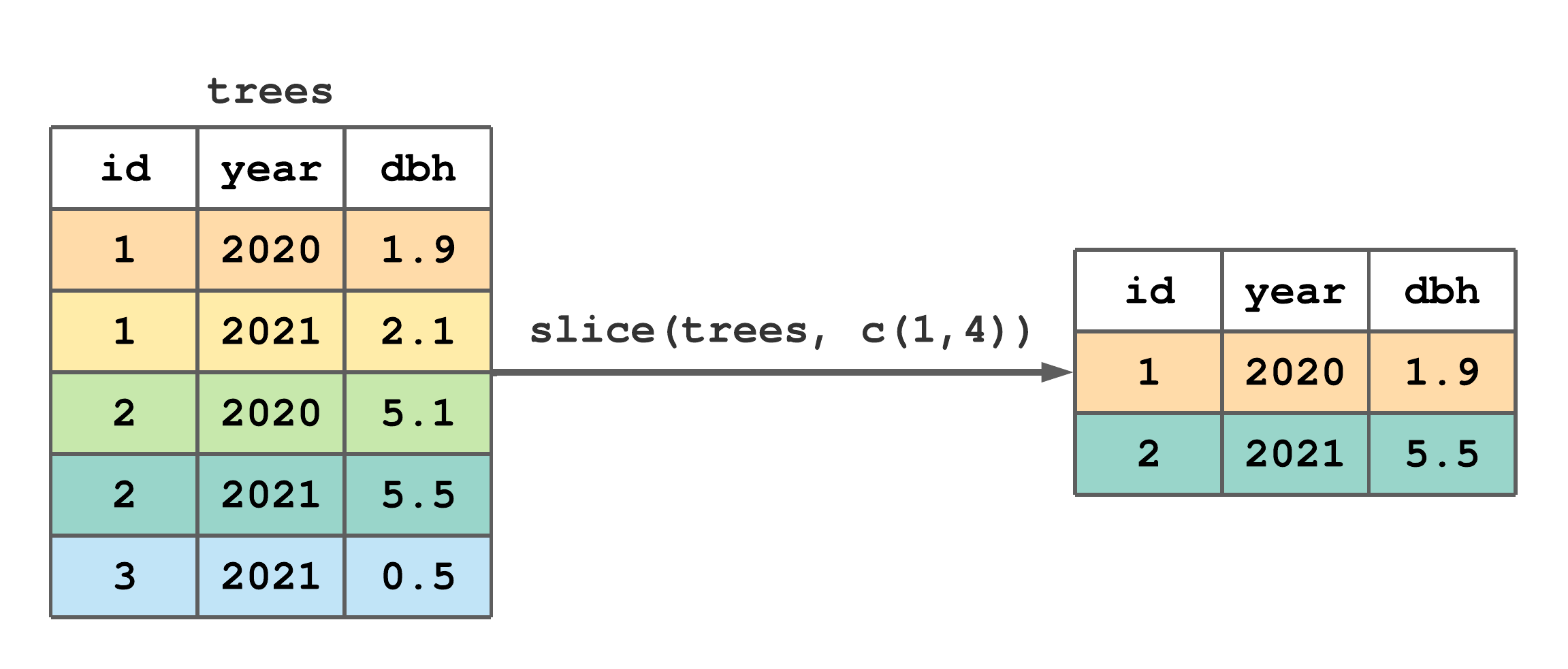 Using slice() to subset rows 1 and 4 of trees.
