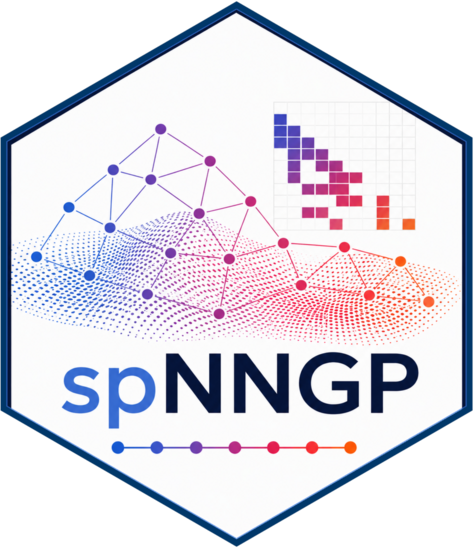 spNNGP hex logo